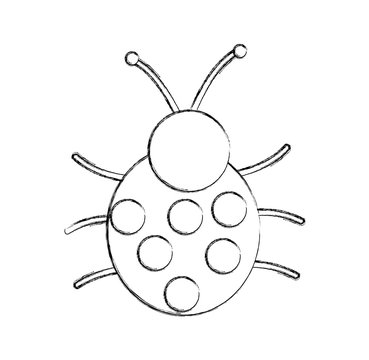 cute ladybug isolated icon vector illustration design