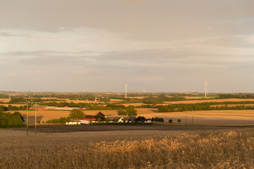 Fototapeta premium typical danish landscape