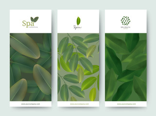 Branding Packaging Flower nature background, logo banner voucher, spring summer tropical, vector illustration