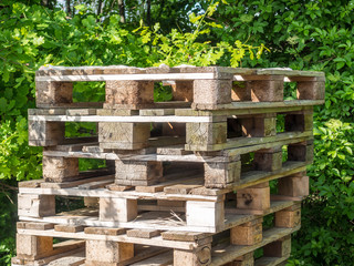 Holzpaletten