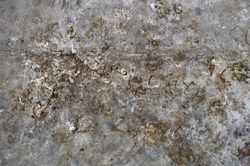 Pigeon poop on the concrete floor, dirty texture from the pigeons attack.