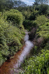 Ocher brook in wild nature, Vester Nebel, Denmark