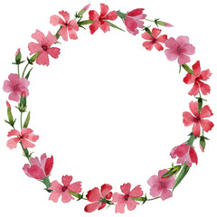 Wildflower carnation flower wreath in a watercolor style isolated.