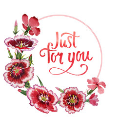 Wildflower carnation flower frame in a watercolor style isolated.