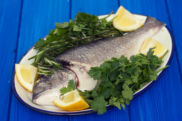 raw fish with herbs and lemon on dish on wooden background
