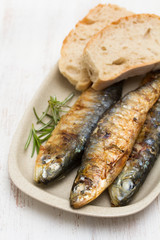 grilled sardines with bread on dish