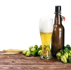 beer bottles and a branch of hops on a white background