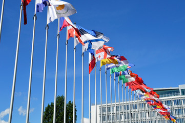 European flaps