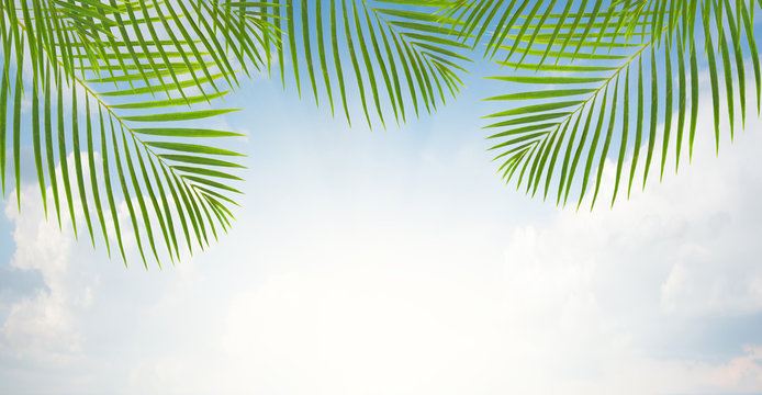 beautiful deep blue waters and cloudscape with palm leaves banner © neirfy