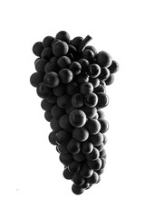 Berries of dark bunch of grape   low light isolated on white background, water drops , black and...
