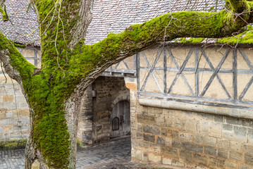 Baum im Hof einer mittelalterlichen Bastion