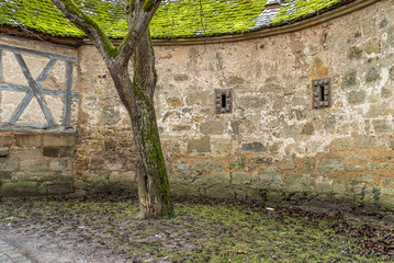 Mittelalterliche Stadtmauer mit einem einsamen Baum