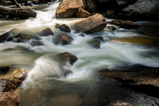 River Stream In Endau Rompin National Park, Malaysia