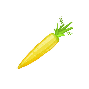 Fresh Yellow Carrot Icon Isolated On White Background.