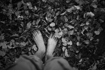 Walking along the path in the leaves