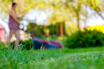 girl mows with a lawn-mower a grass on a lawn, care of a lawn