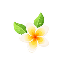 Bright cartoon frangipani icon. Colorful tropical flower symbol isolated on white background. Vector illustration.
