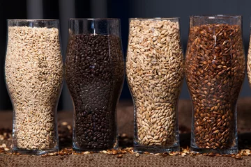 Tuinposter Glasses filled with different malts and hops over a wooden background. Variety of malt for brewery. © romeof