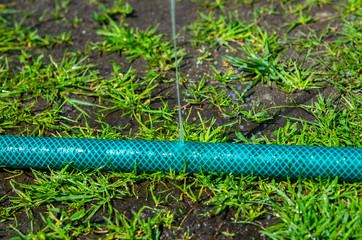 hole in a watering hose, water leak