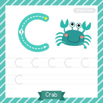 Letter C uppercase tracing practice worksheet with crab for kids learning to write. Vector Illustration.
