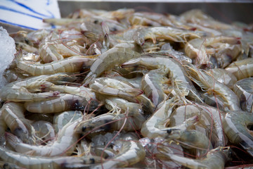 Fish market