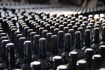 Bottles of red wine await labeling at a winery.