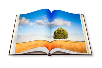 Isolated tree in a tuscany wheatfield - (Italy) - Opened photo book