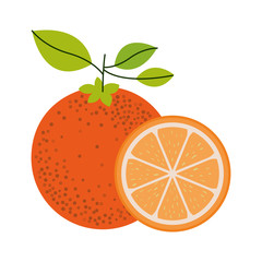 white background with one orange fruit and orange slice and without contour vector illustration