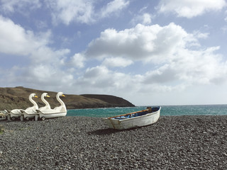 Fuerteventura: swan-shaped pedal boat on the black beach of Pozo Negro in lava beach