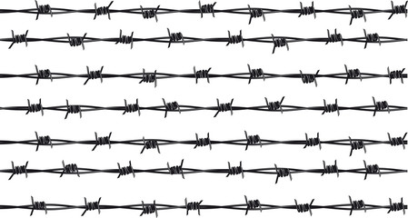 Rows of barbed wire - obrazy, fototapety, plakaty