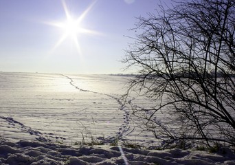 Fototapeta premium Winterlandschaft Grevenbroich