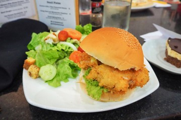 A Plate of Fried Chicken Burger with Salad