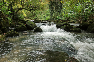 The surrounding area of the mountain river