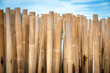 Bamboo barrier for protect the beach, phuket Thailand