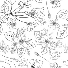 Apple flowers tree blossom, bud, leaf, branch botanical sketch hand drawn isolated on white, seamless vector floral pattern for greeting card, package design cosmetic, wedding invitation, wallpaper