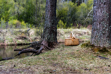 wooden woven basket in front of forest river