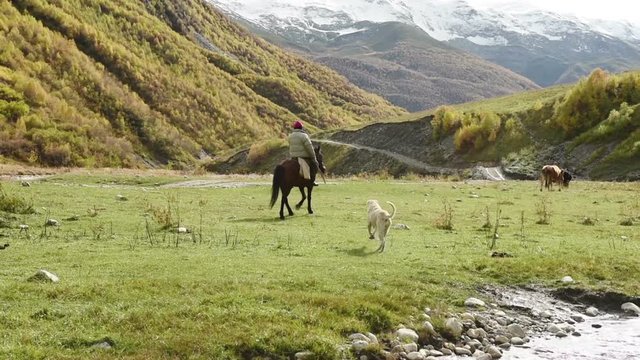 Horse rider on the horse and running after him dog in amazing touristic place near at the foot of Mt. Shkhara 5,193 m (17,040 ft). Upper Svaneti, Georgia, Europe.