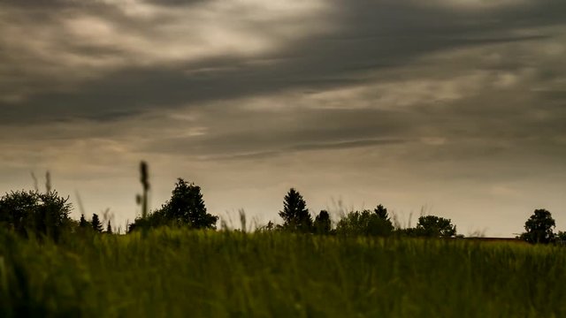 Zeitraffer von einem Gerstenfeld