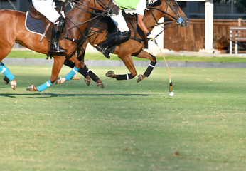 Side view of the polo player