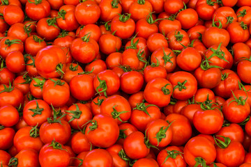 group of red tomatoes