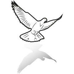 Fototapeta premium vector image of a dove flying