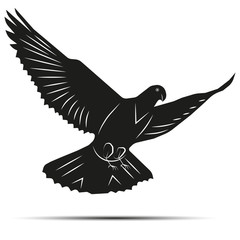 vector image of a dove flying