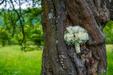 Flowers. bunch in a tree. WEDDING