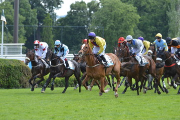 cheval de courses