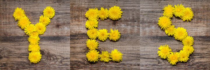 The word YES is made of yellow dandelions