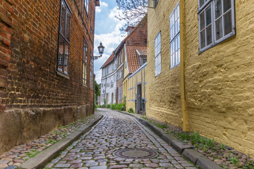 Cobblestoned street with colorful houses in Luneburg