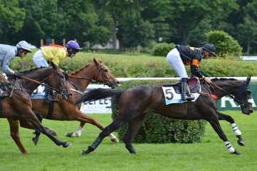 cheval de courses