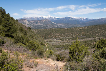 Fototapeta na wymiar View from the top of Telegraph trail in Durango, Colorado
