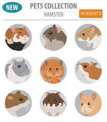 Hamster breeds icon set flat style isolated on white. Pet rodents collection. Create own infographic about pets