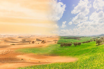 Climate change with desertification process. Double exposure with desert and cultivated fields - obrazy, fototapety, plakaty